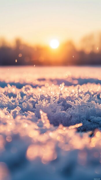 Winter phone wallpaper 4K with shimmering snow.