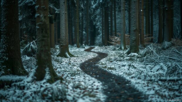 Winter scene wallpaper with a snowy path winding through the trees.