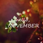 Beautiful November HD Wallpaper.