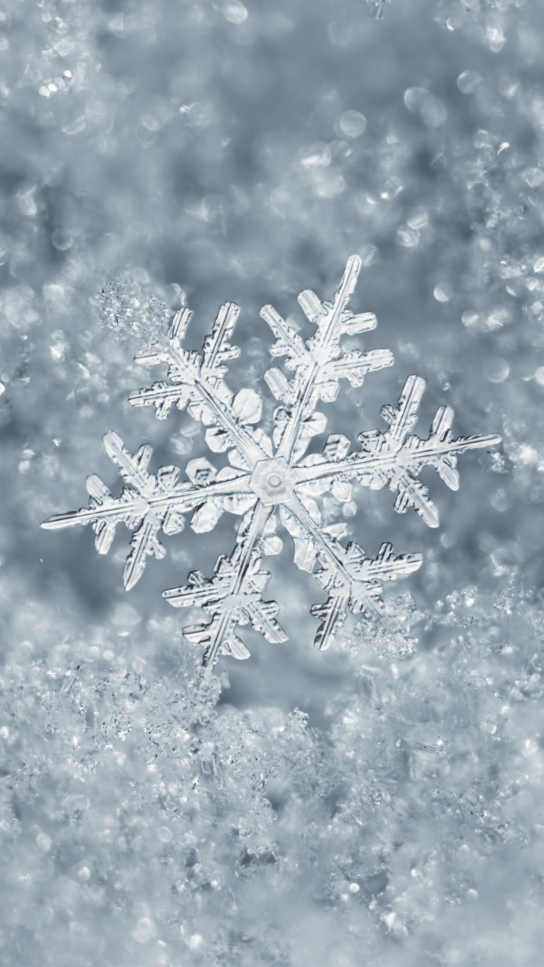 Discover more than 55 iphone winter wallpaper best - in.cdgdbentre