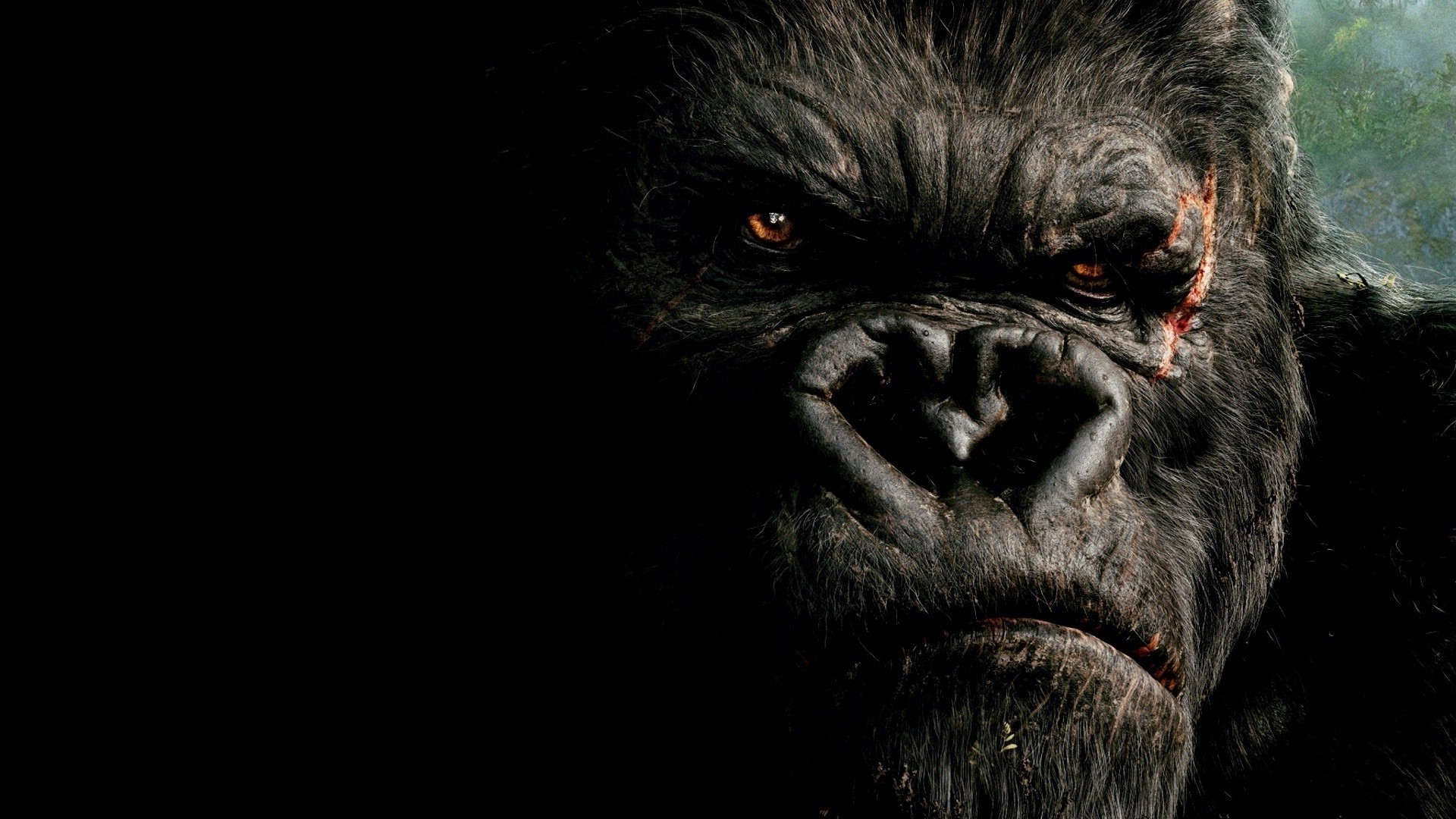 Wallpaper Godzilla vs Kong, 4K, Movies #23303