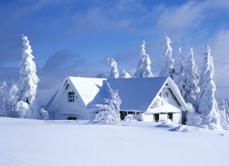 Winter wallpaper and theme