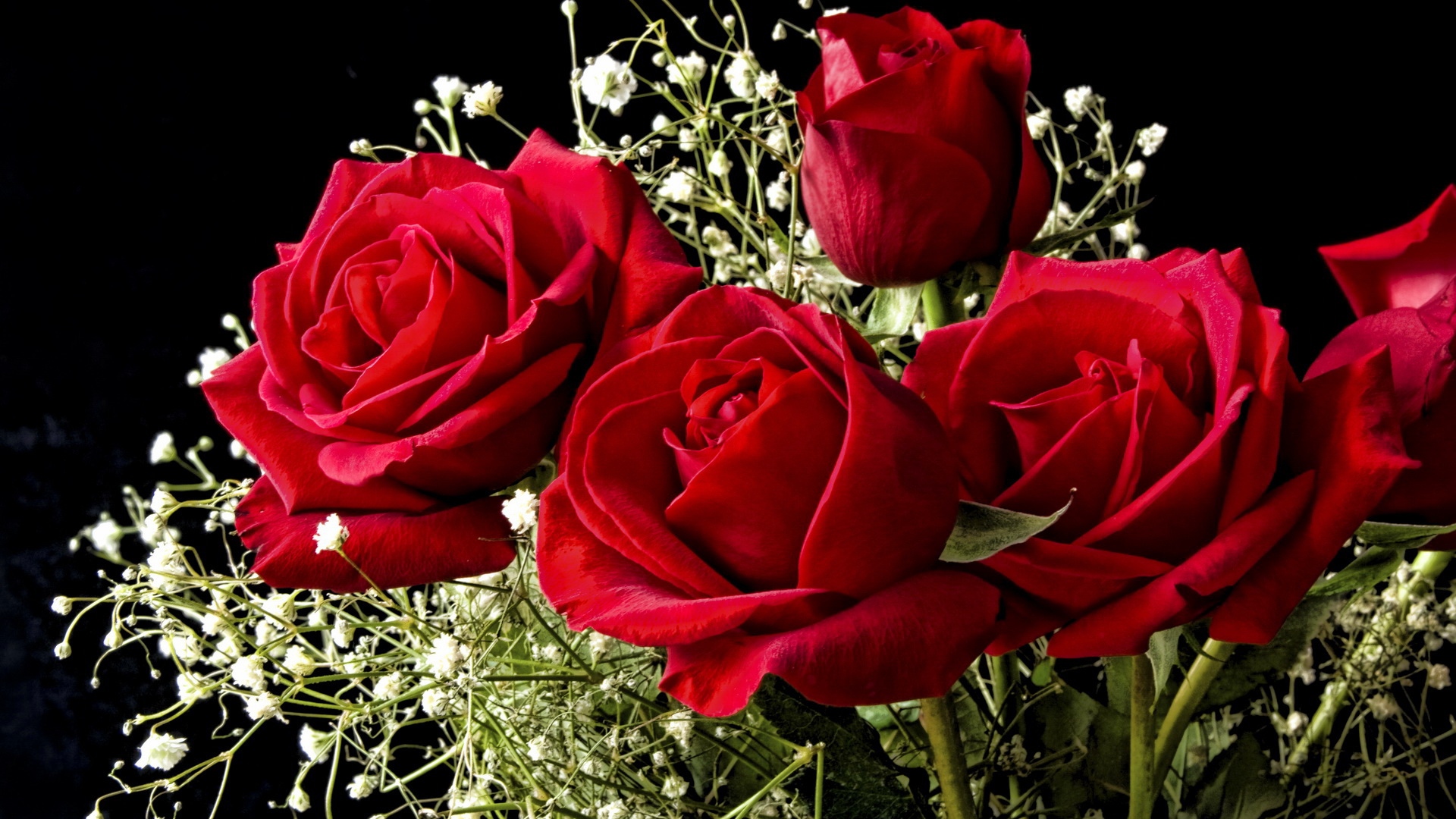Get Inspired For Wallpaper Hd Red Rose Flower pictures - Jisoa Wallpapers