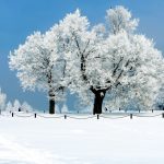 Beautiful Winter Wallpaper HD.