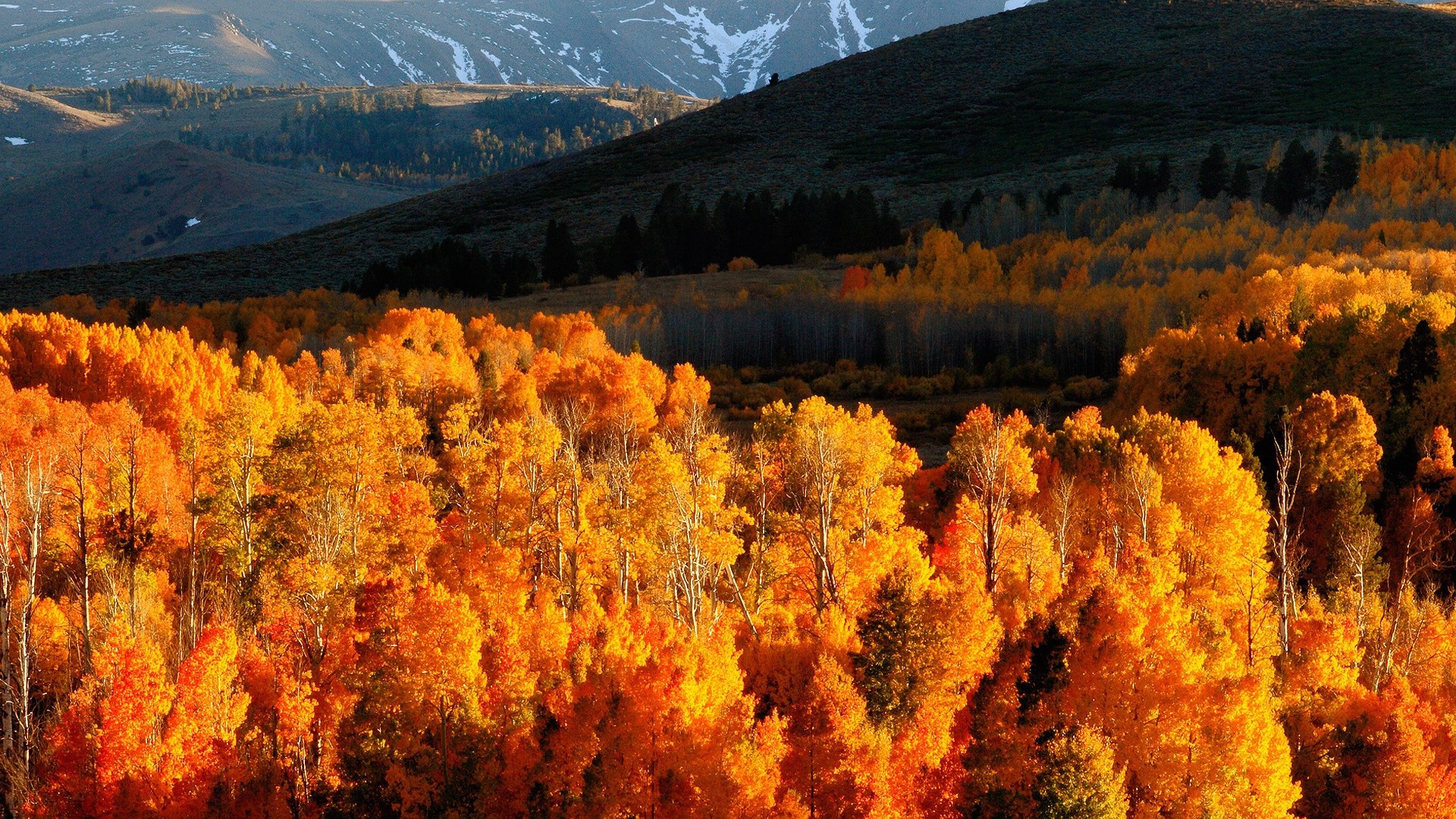 25 Best october desktop backgrounds You Can Save It At No Cost
