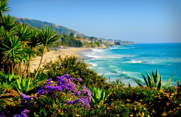 Amazing California Beach Wallpaper HD 6.