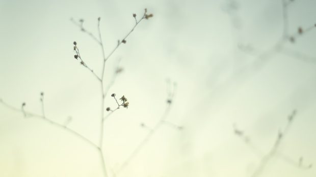 Beautiful Minimalist HD Backgrounds from PixelsTalk Net.