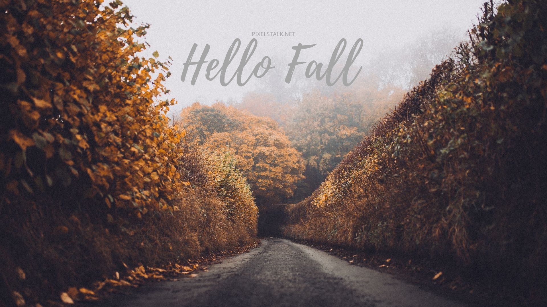 HD hello fall wallpapers