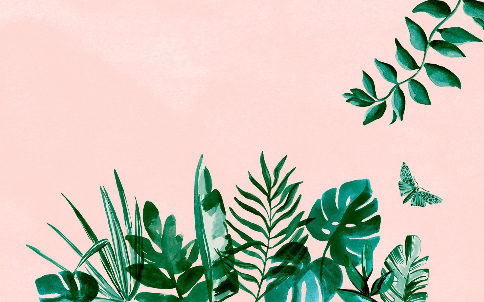Minimal Pink Green posted by Sarah Peltier aesthetic sage green HD phone  wallpaper  Pxfuel