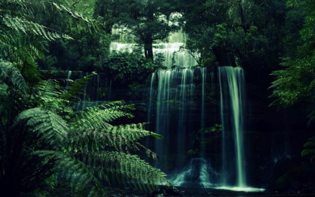 Green Aesthetic Backgrounds HD Free download