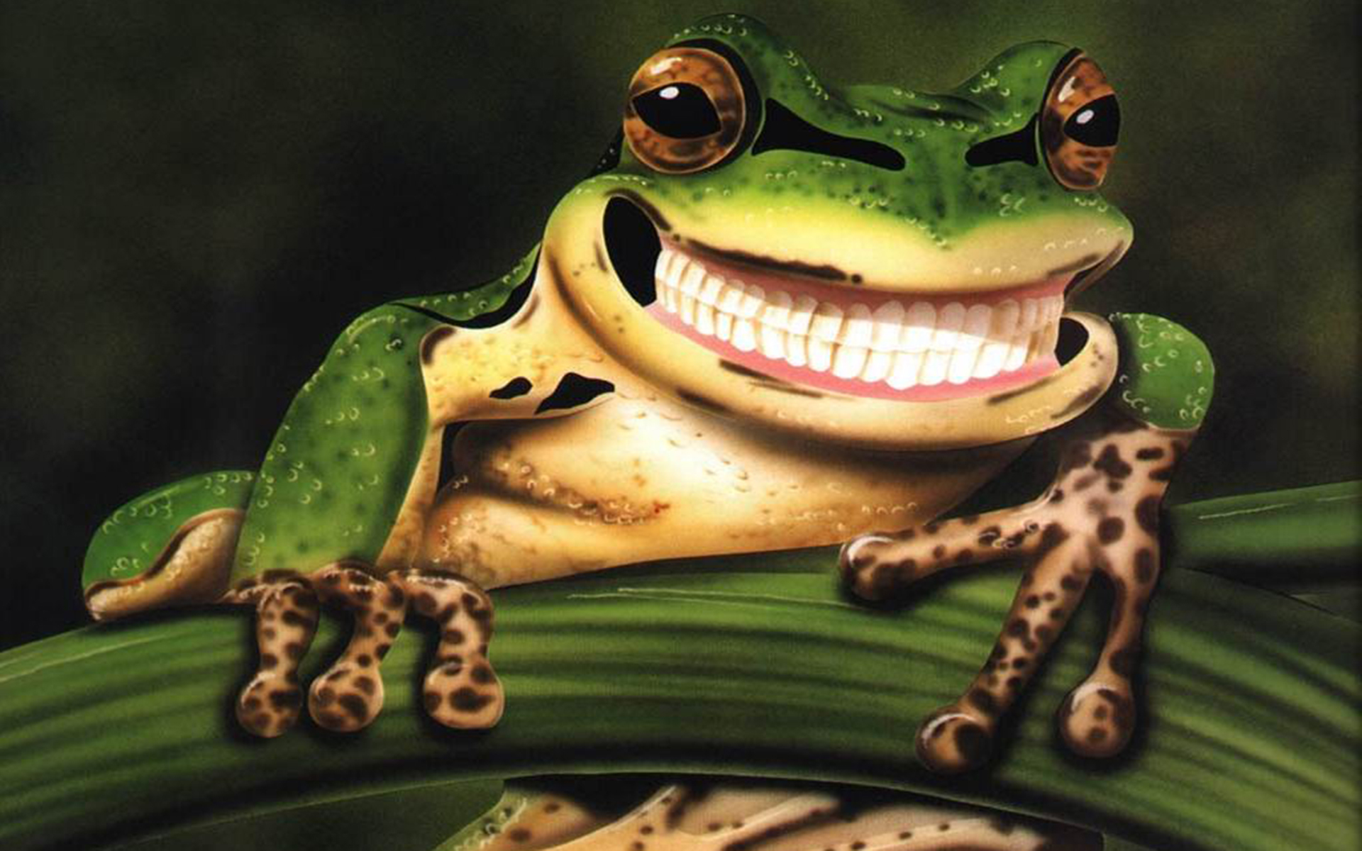 528690 curious cute doctor on call emergency figures frog frogs  funny nurse search sweet 4k  Rare Gallery HD Wallpapers