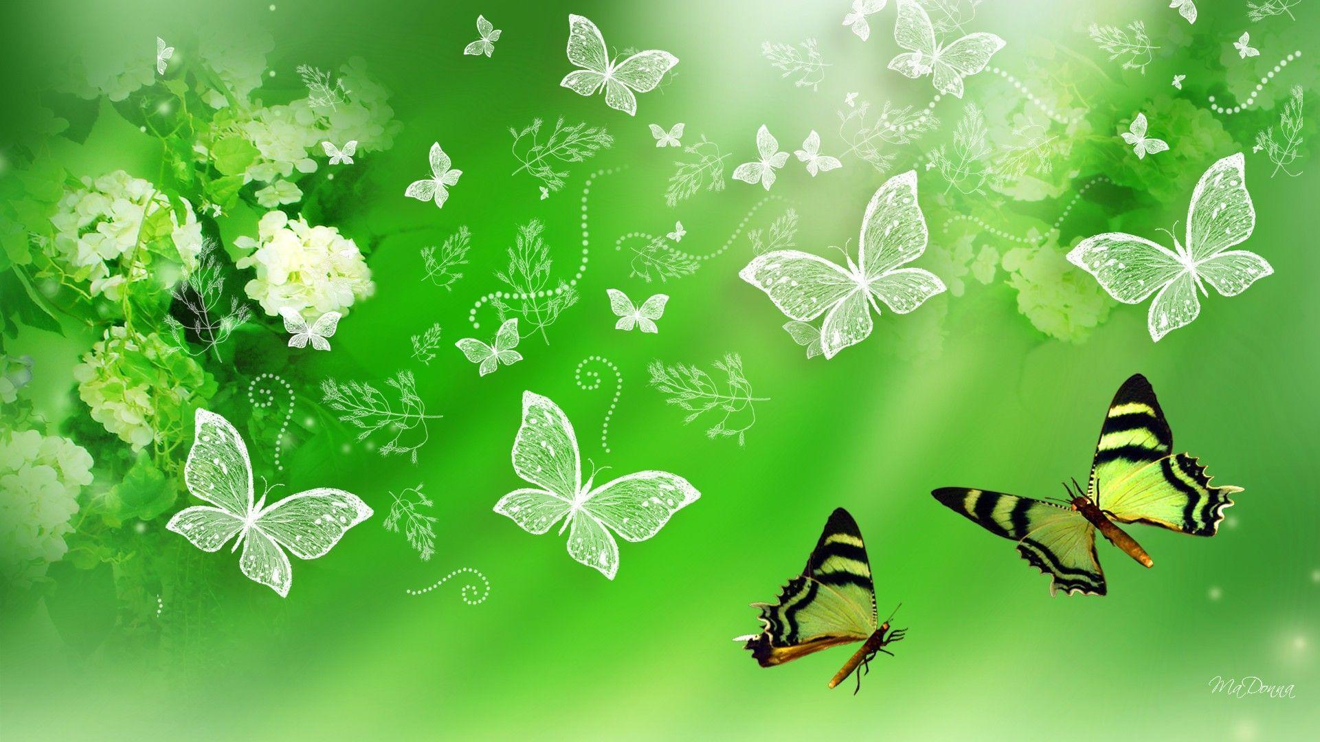 Aesthetic Butterfly Backgrounds HD 