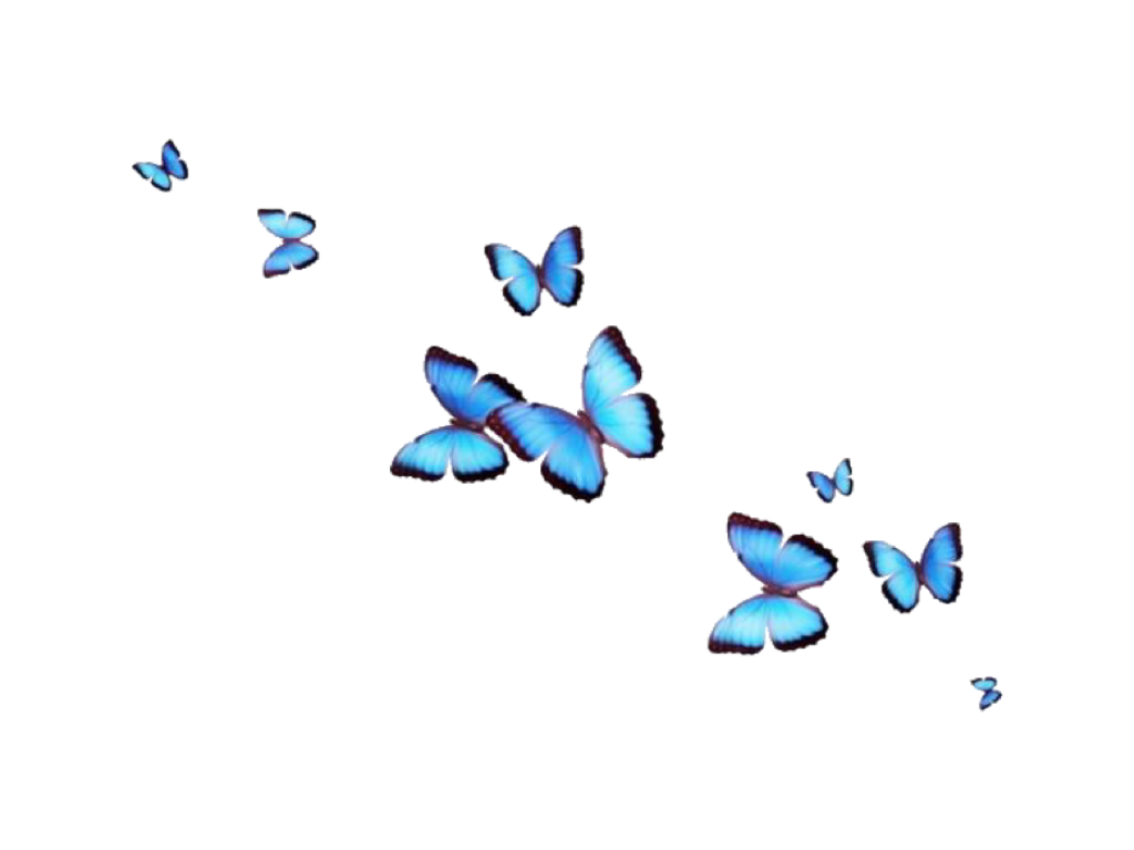 Cute butterfly Wallpapers Download  MobCup