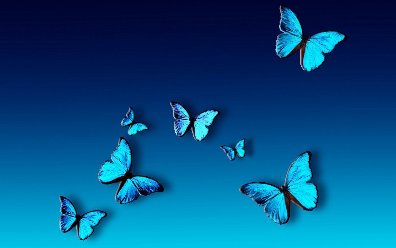 Aesthetic Butterfly iPhone Wallpapers  Wallpaper Cave