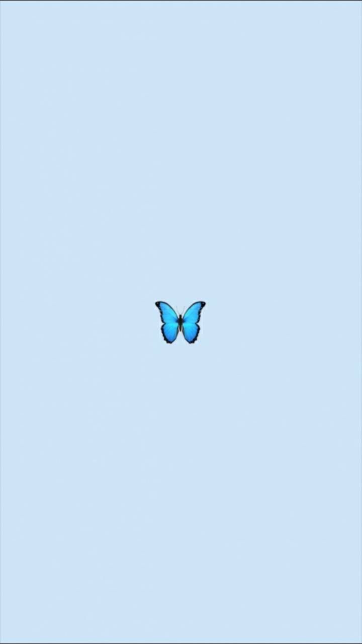 Download Blue Butterflies Aesthetic Desktop Wallpaper  Wallpaperscom