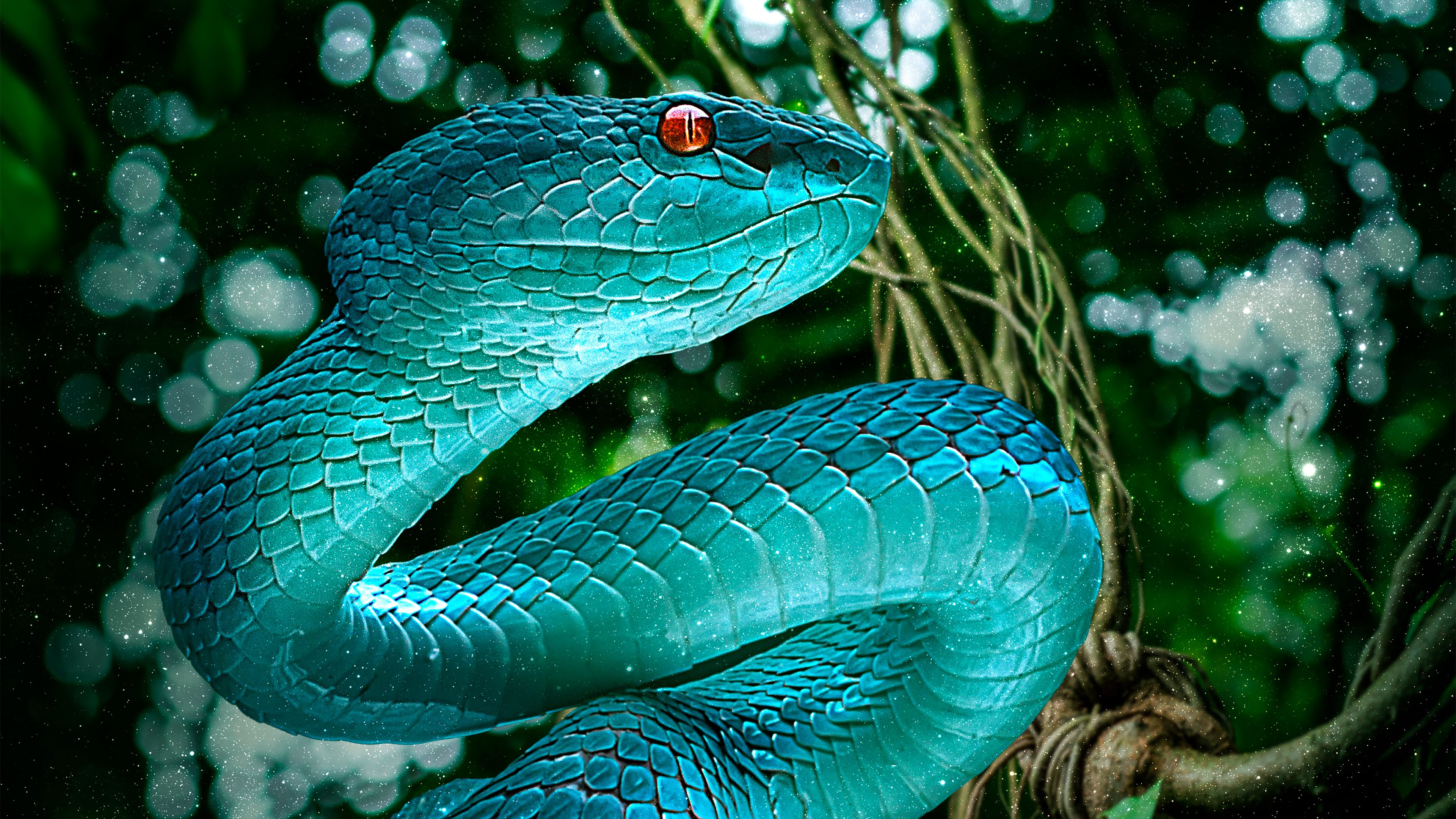 HD wallpaper Snake Eyes Head Python Art by Ben Judd Surreal Snake   Wallpaper Flare