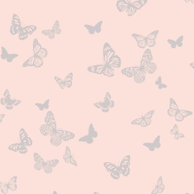 Butterflies HD Wallpapers High Quality