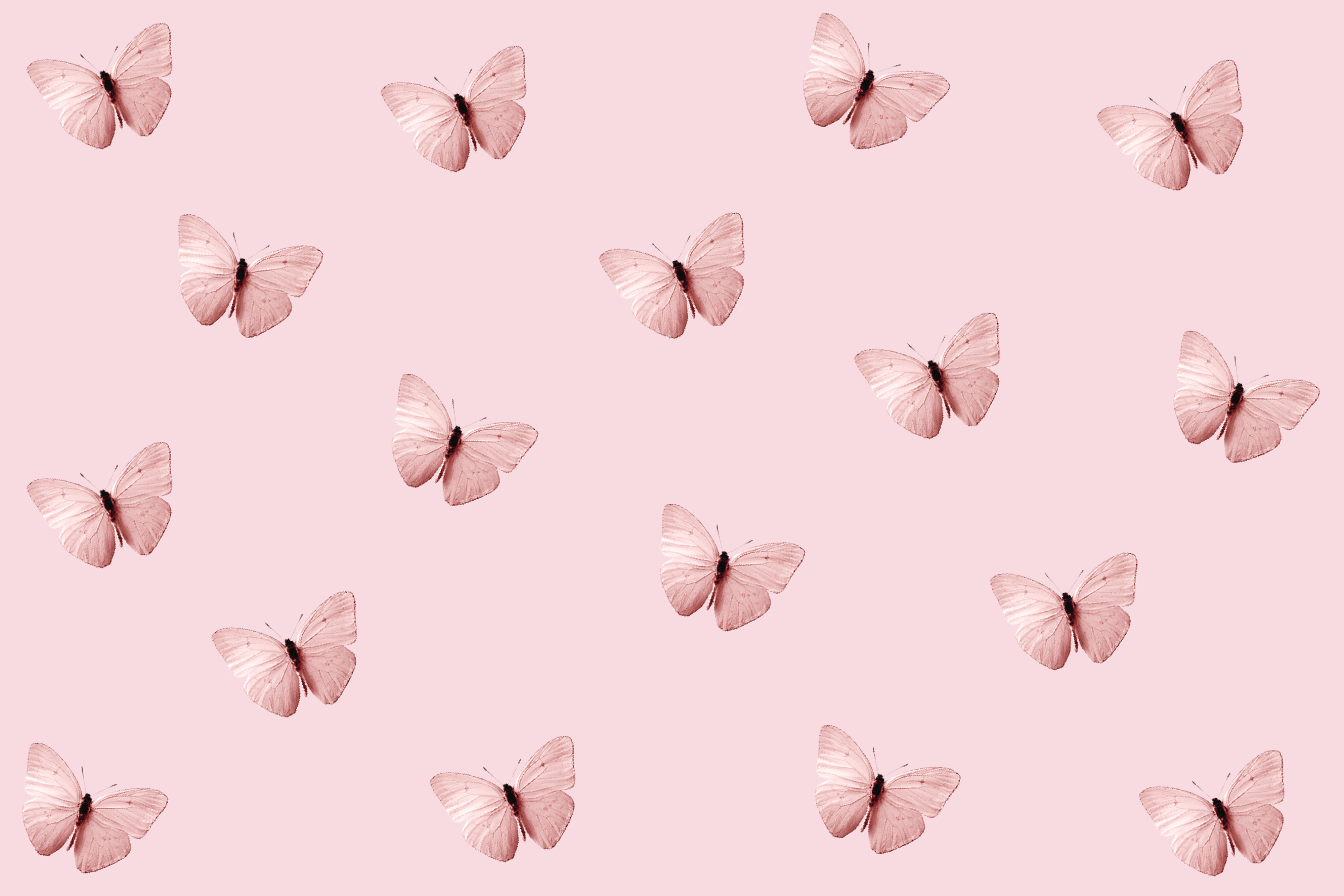 Free and customizable butterfly wallpaper templates