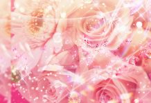 Cute Pink Aesthetic Wallpaper Flower.