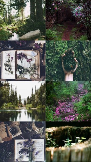 Nature Aesthetic Backgrounds Free download
