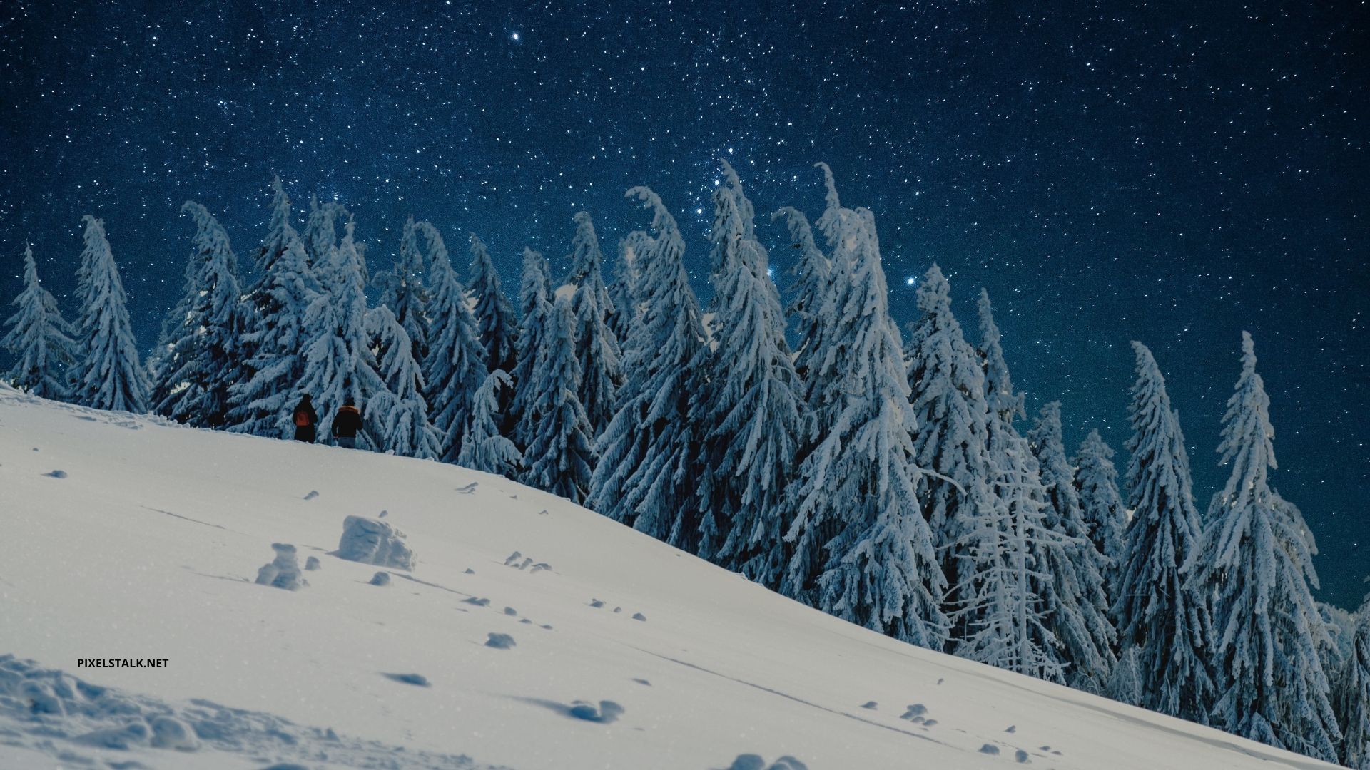 Winter Wonderland Wallpapers for Desktop  PixelsTalkNet