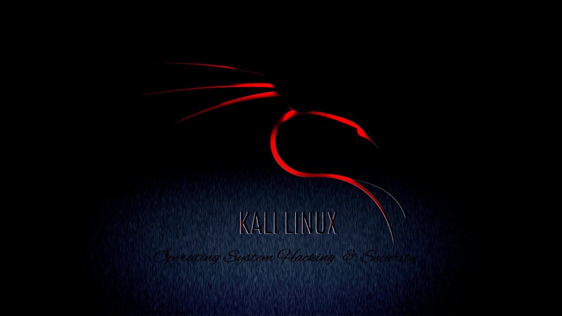 Kali Linux 