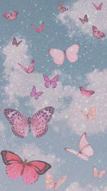 Pink Butterfly HD Wallpapers High Quality