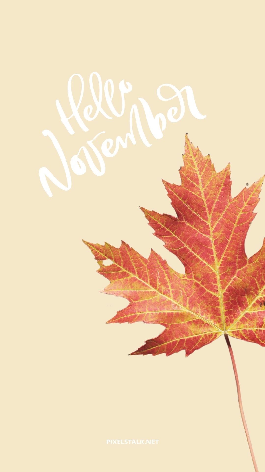 November Wallpapers iPhone