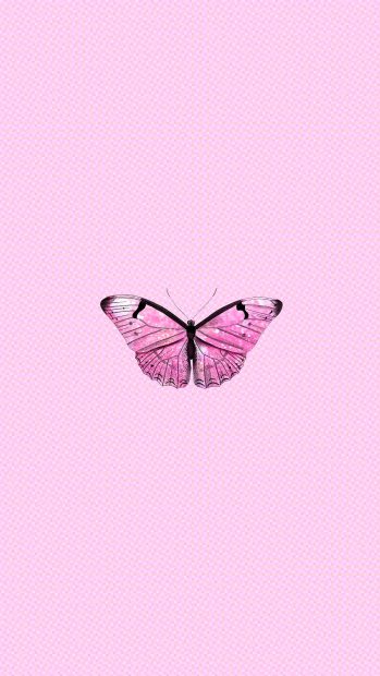 Pink Butterfly Aesthetic Wallpapers Free download