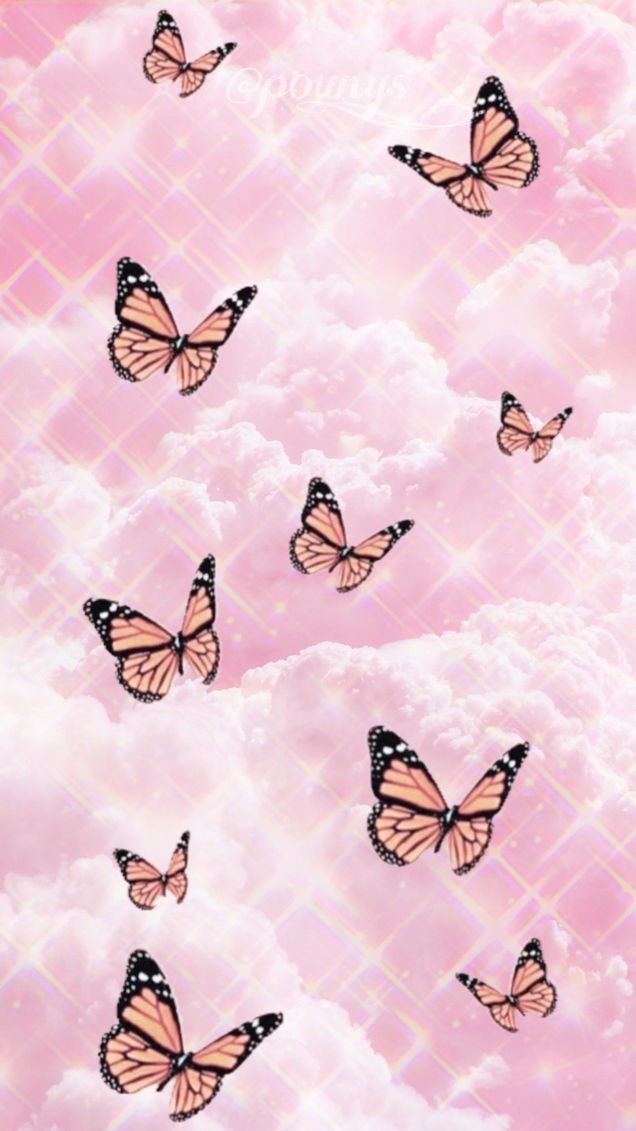Butterfly iPhone Wallpapers on WallpaperDog