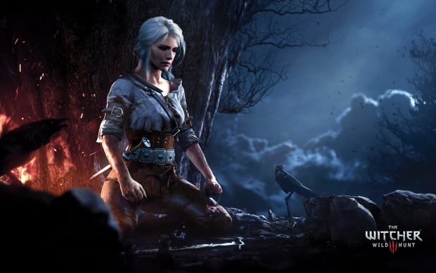 The Witcher HD Wallpaper Computer.