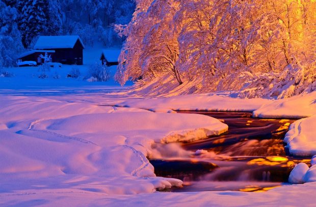 The best Pink Winter Background.