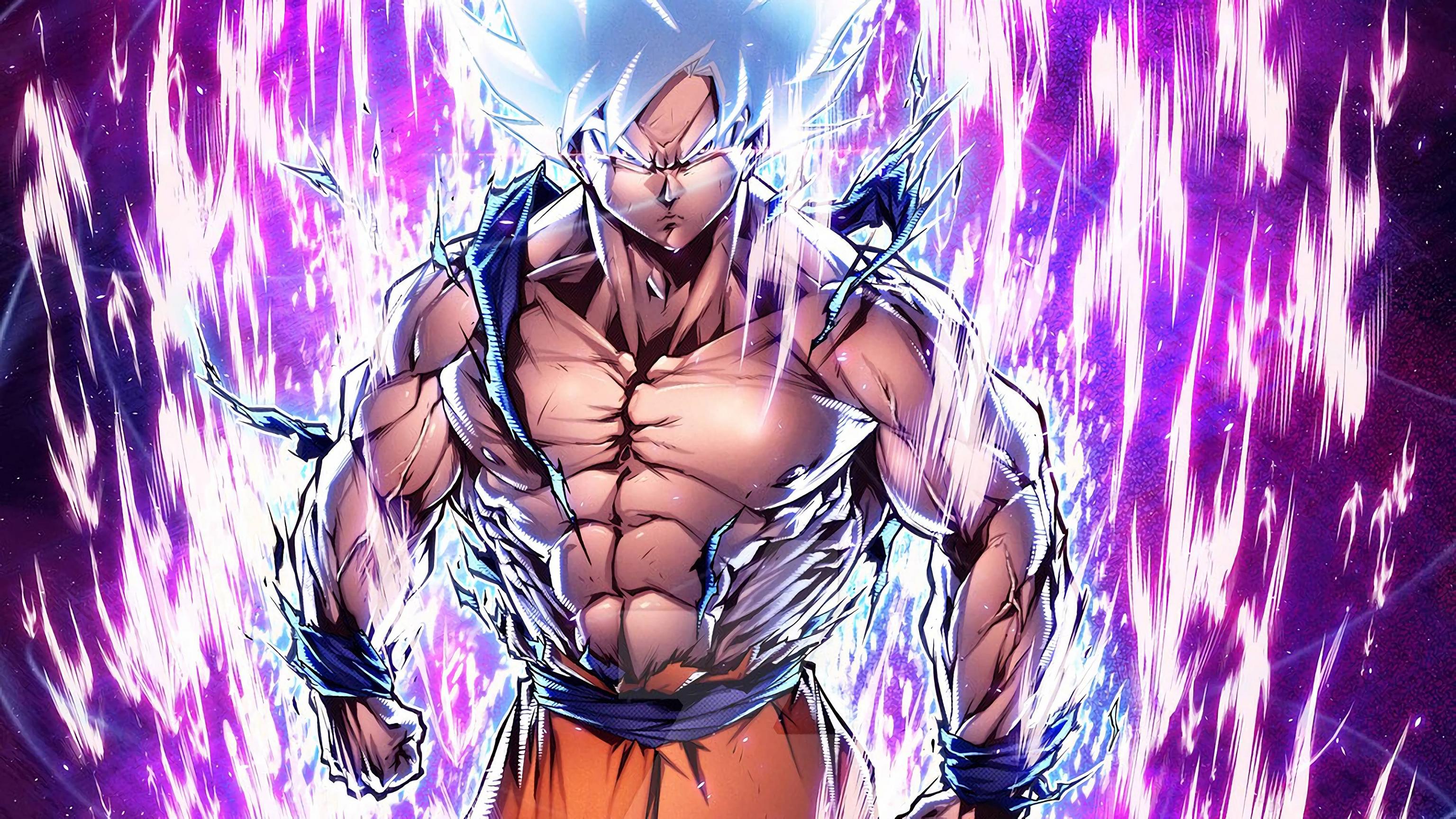 Mastered Ultra Instinct Goku Wallpapers  Top Free Mastered Ultra Instinct  Goku Backgrounds  WallpaperAccess