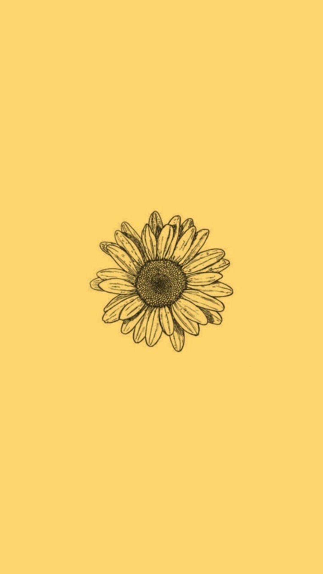 38 Sunflower iPhone Wallpapers to Download for Free  atinydreamer