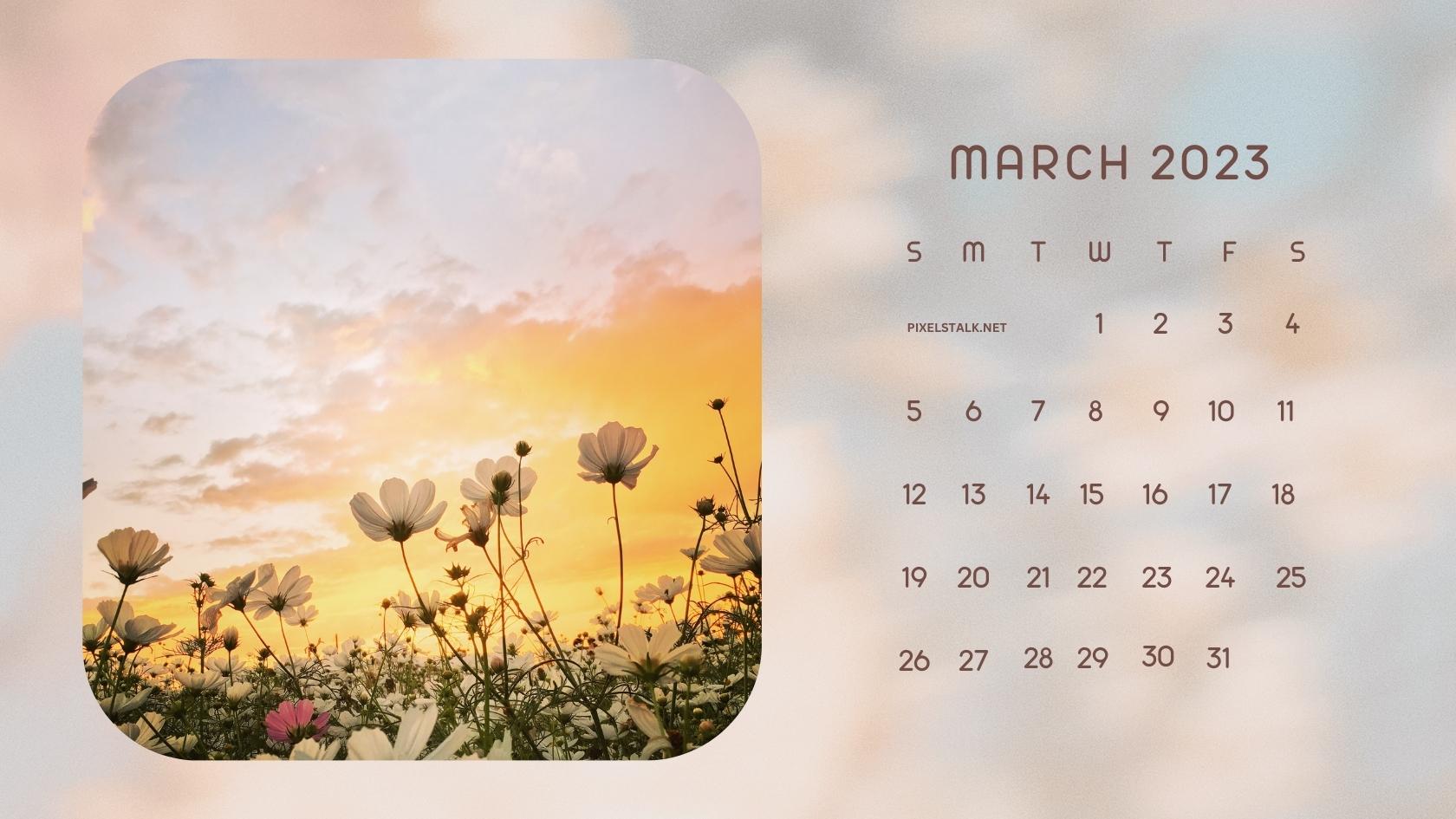 Cute March 2023 Calendar Floral Wallpaper HD in 2023  Calendar wallpaper  Floral wallpaper Wallpaper