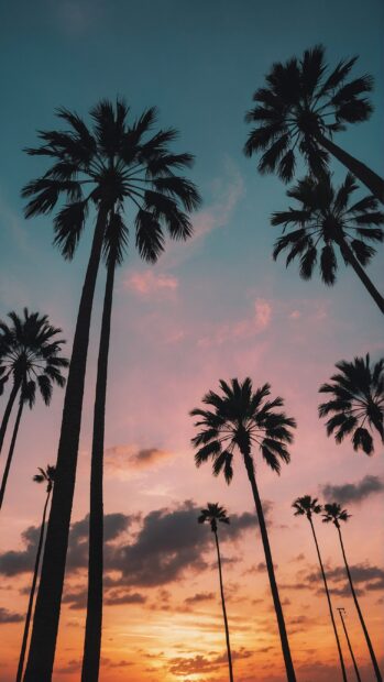 A cute summer iPhone wallpaper featuring palm trees silhouetted against a sunset sky.