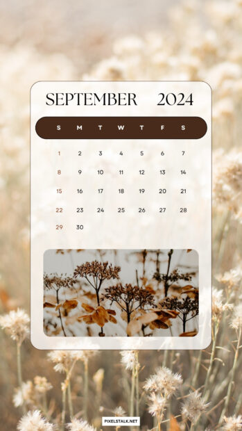 Aesthetic September 2024 Calendar iPhone Wallpaper HD.