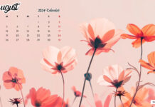 August 2024 Calendar Desktop Background.