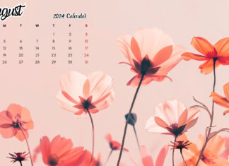 August 2024 Calendar Desktop Background.