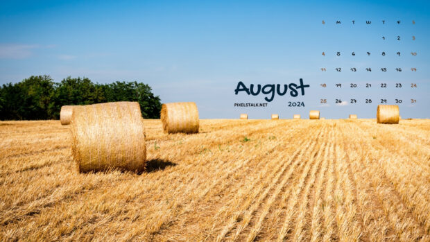 August 2024 Calendar Desktop Field Background.
