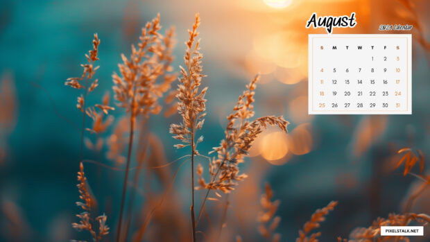 August 2024 Calendar Desktop Wallpaper Pastel Background.