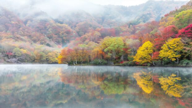 Autumn Nature lake reflecting the colorful foliage of surrounding trees, aesthetic landscape.