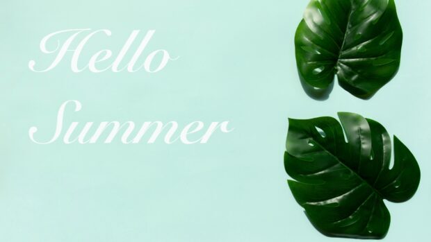 Cool Hello Summer Wallpaper HD (1).