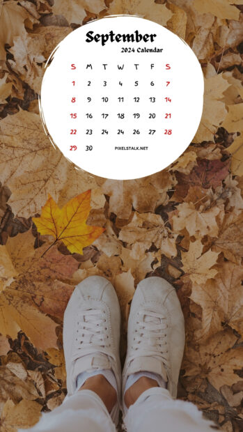 Cute September 2024 Calendar iPhone Wallpaper HD.