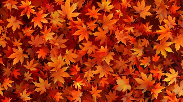 Fall leaves aesthetic background for desktop.