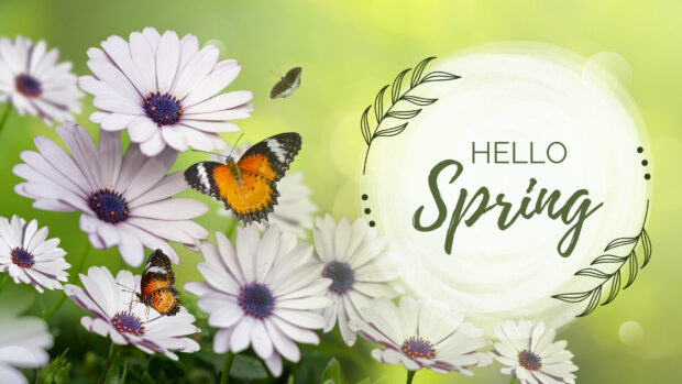 Free Download Cute Spring Photo.