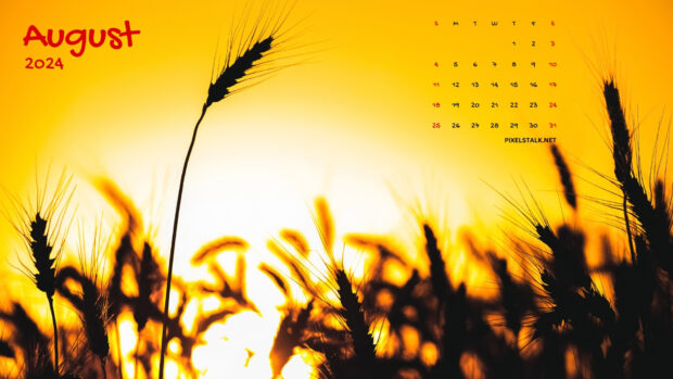 Free download August 2024 Calendar Desktop Background.