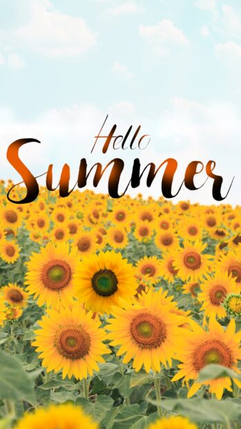 Hello Summer Wallpaper for iPhone (5).