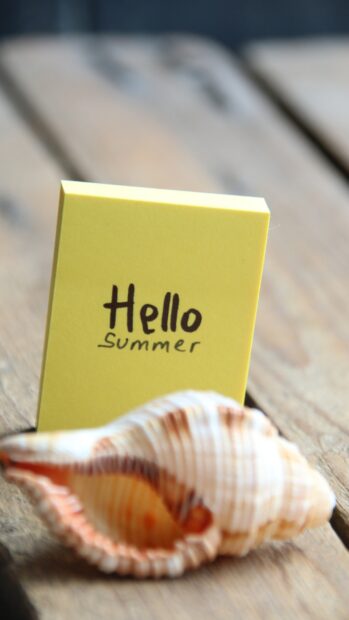 Hello Summer Wallpaper for iPhone (7).