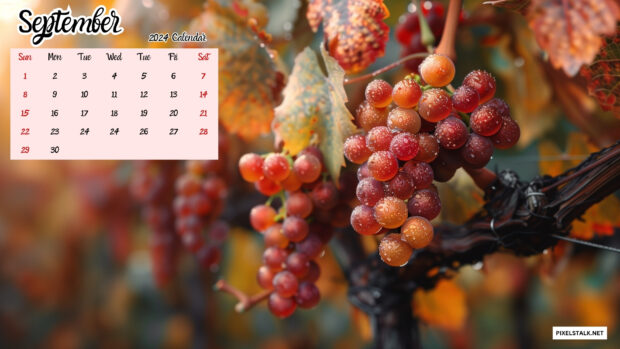 September 2024 Calendar Desktop Wallpaper Grapefruits.